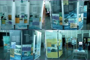 Exposition “Mermoz et l'Aéropostale”